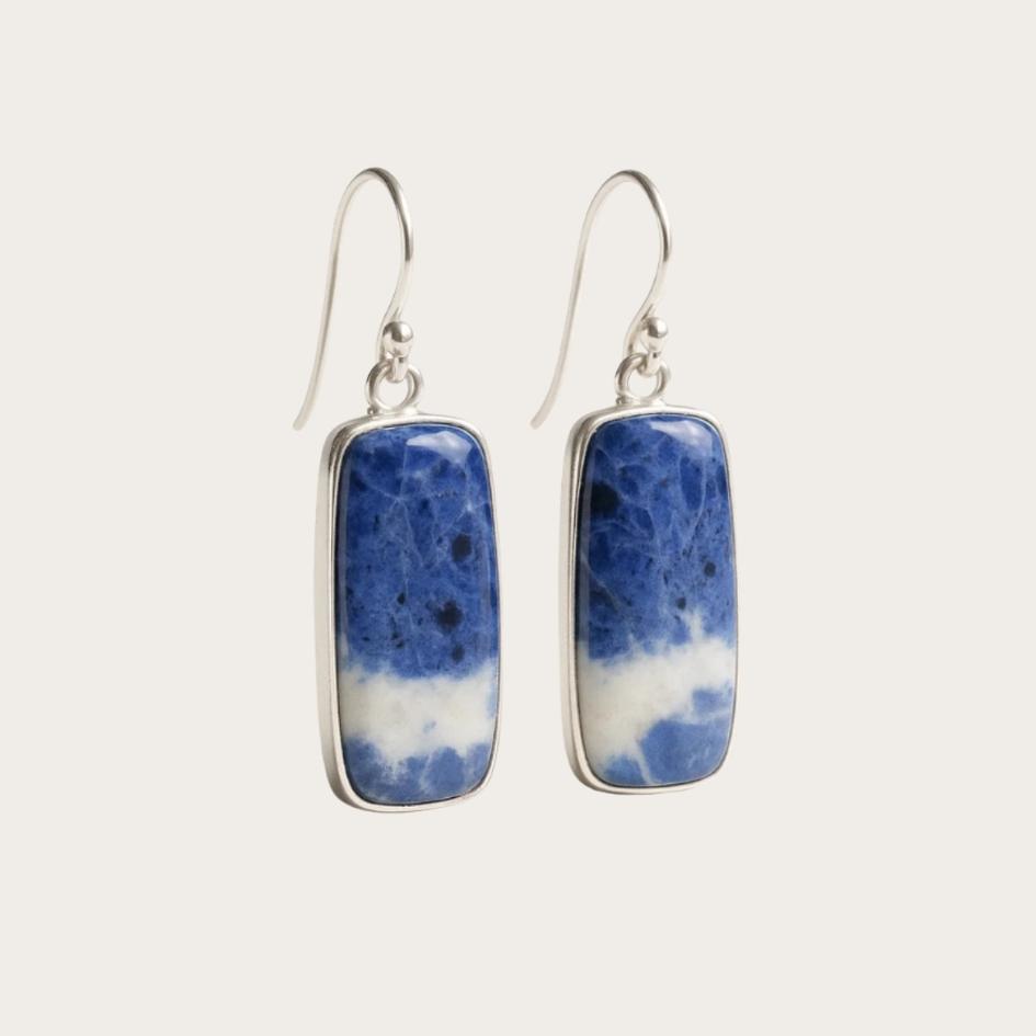 Blue Veined Stone Earrings
